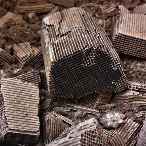 Otkup saca iz katalizatora i DPF filtera